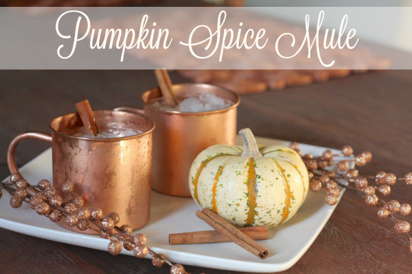 Pumpkin Spice Moscow Mule Recipe