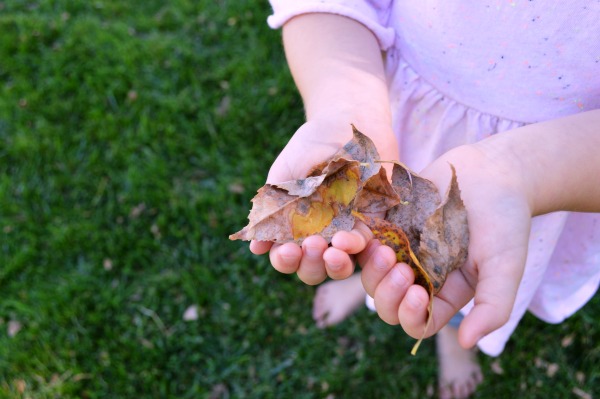8 Great Leaf Crafts to Try this Fall