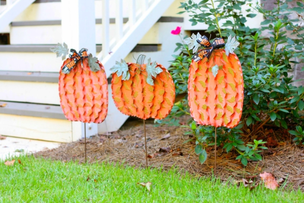 outdoor-pumpkins