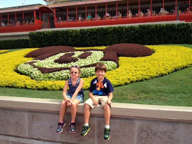 Disney World Fellman 2014