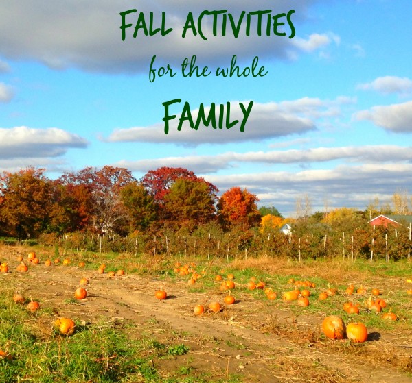 family fun activities