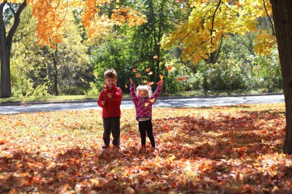 fall family activities