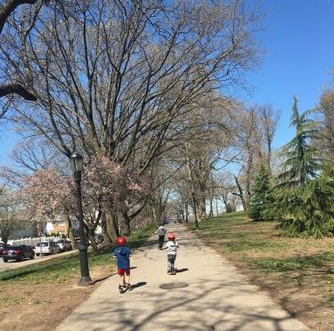 springtime in Brooklyn